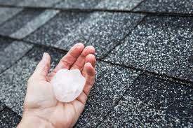 CoMitted 365 APRIL BLOG x Things You Should Know about Hail Damage