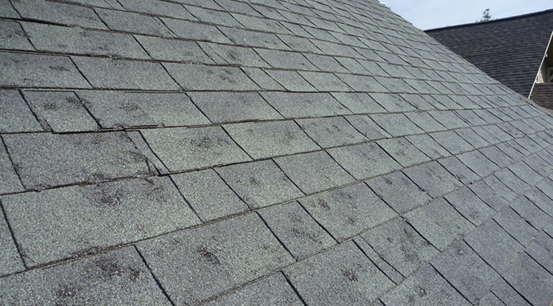 Close-up of hail impact marks on roofing by Committed 365 Roofing & Exteriors
