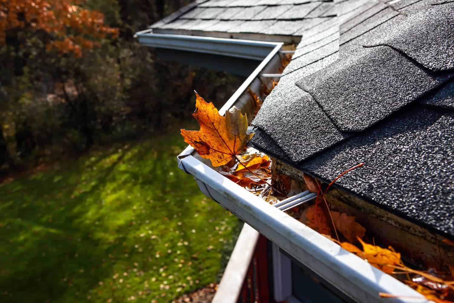 commited365 gutters new replace fall clean
