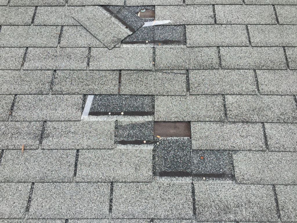 roof damage storm
