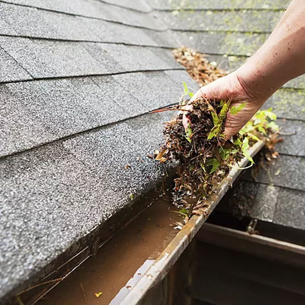 blog content gutter guard cleaning feat