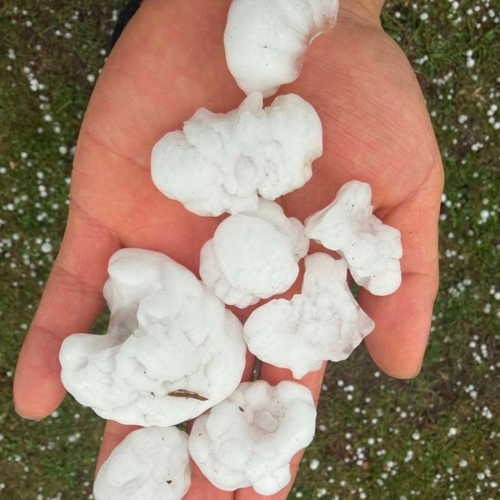 hail rice goodhue 01