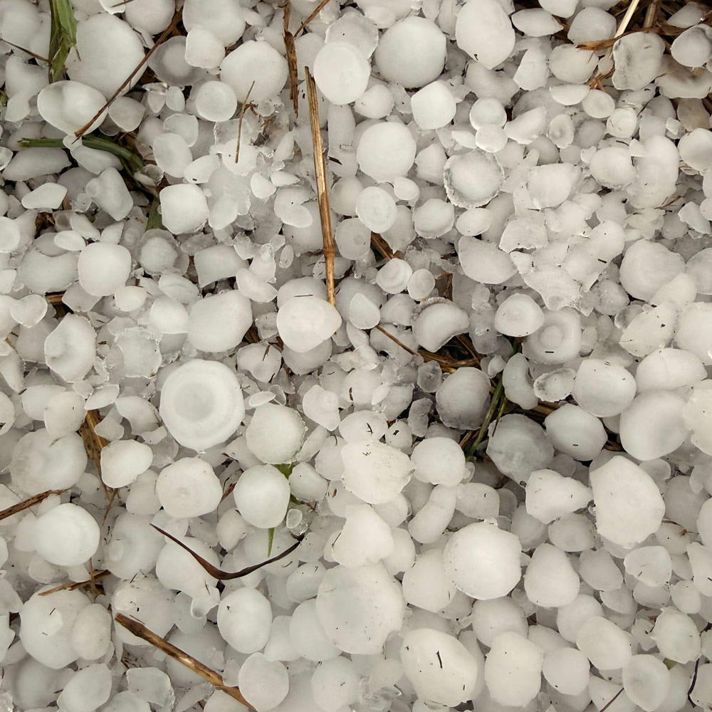 hail storm rice and goodhue county