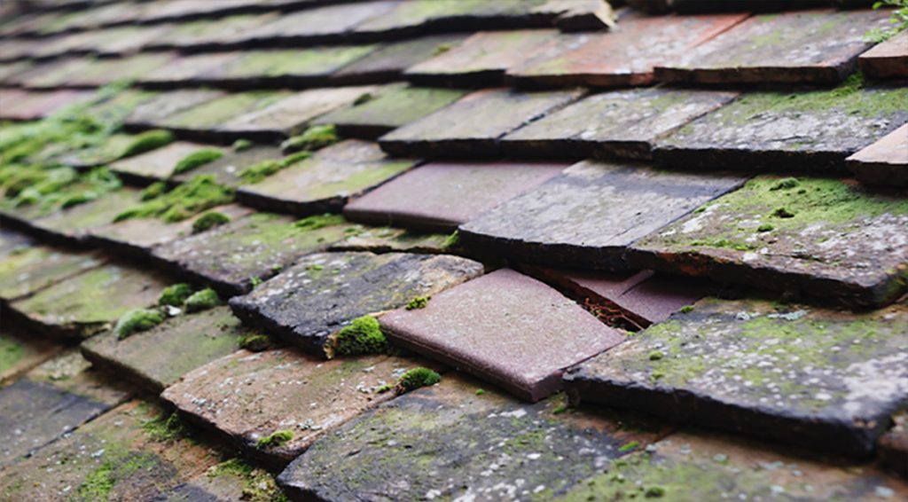 roof replacement before damage worsens